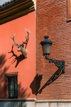 Mounted deer head and lamppost on textured walls