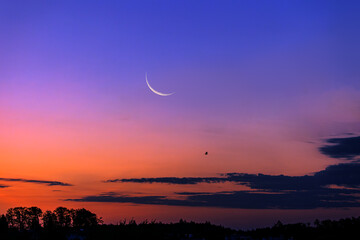 Daybreak with the last waning crescent moon in the beautiful colorfiö morning sky © Siyue