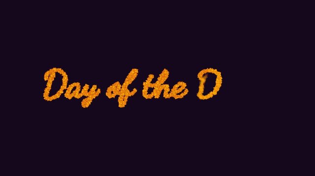 Orange marigold petals form the English phrase Day of the Dead with scattered petal particles. Shown on dark and light backdrops for Mexican holiday titles, greetings, and festive seasonal designs.