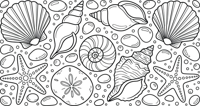 Black and white hand drawn collection of various sea shells and starfish