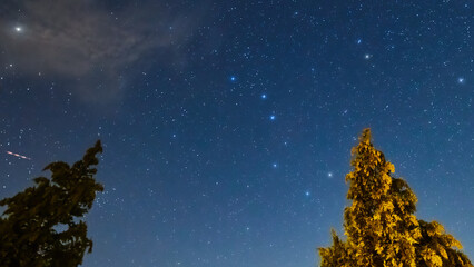 Fototapeta premium Summer Milky Way stars and landscape scenery silhouettes.