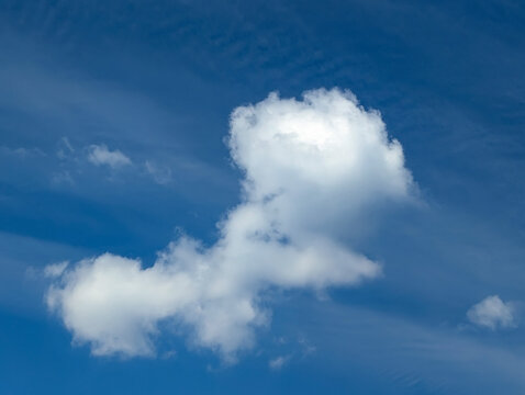 Cotton structure of lonely cumulus cloud moves freely across the blue sky. The gentle movement of an atmospheric front. A majestic swirling spectacle.