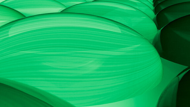 Close-up of green leaves with detailed texture and leaf veins