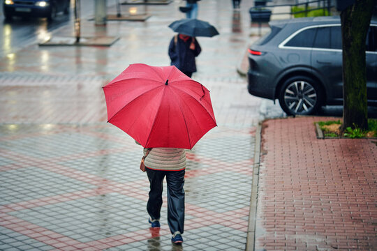 Anonymous person strolling along wet metropolitan sidewalk under red umbrella during seasonal storm with blurred car and tree in background. Person walking with bright red umbrella on rainy day