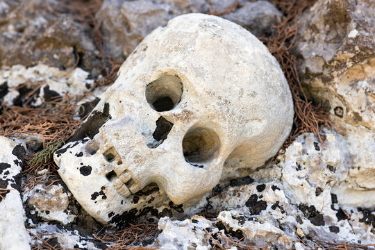 Teschio di pietra sulla tomba