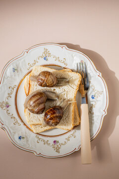 Three live snails crawling on slices of bread on a vintage plate