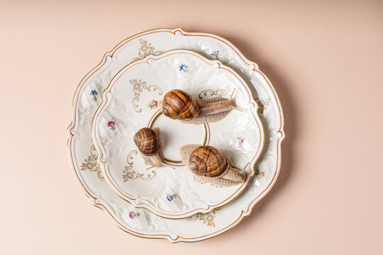 Uncooked escargot ingredients on plate