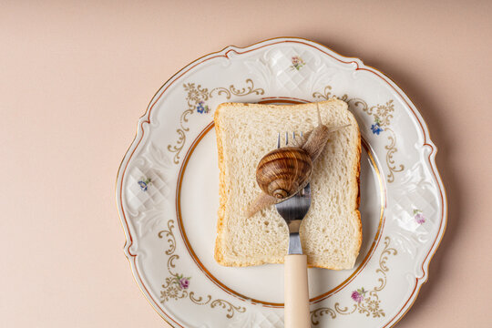 concept of French escargot snail food preparation.⁠