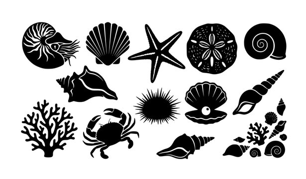 Coastal Sea Shell Marine Black Silhouette Icons