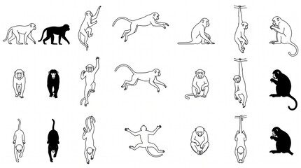 Fototapeta premium Monkey Wildlife Action CAD Blocks Top View Front and Side Elevation