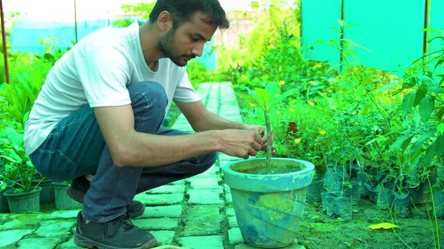 Indian man planting sapling in pot at nursery in Farrukhabad Uttar