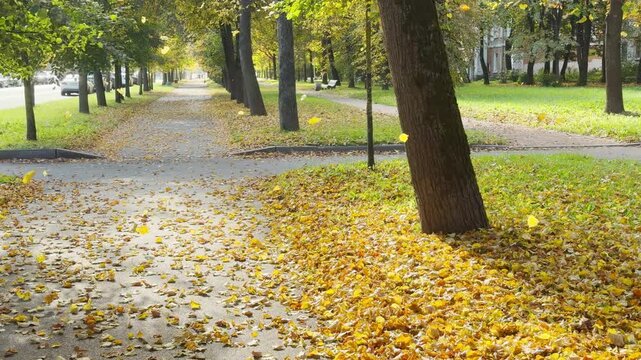 Golden leaves fall gently along a quiet park path. A peaceful, nostalgic mood fills Pushkin, Saint Petersburg in slow motion.