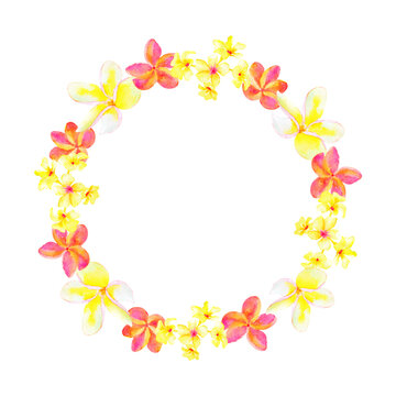 Watercolor tropical floral Hawaiian plumeria flowers wreath. Natural hand drawn illustration isolated on white background