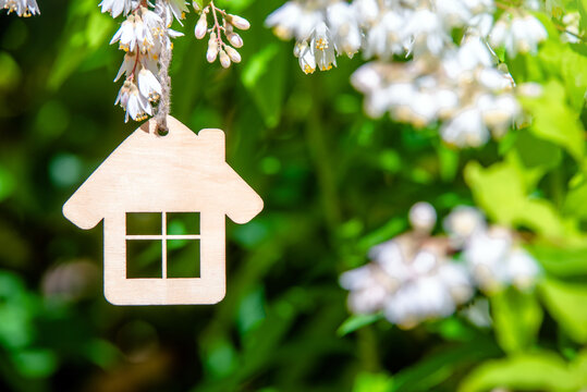 Symbol of the house on the branches of a flowering apple
