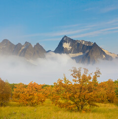 mountain valley covered by the forest in mist an dense clouds © Yuriy Kulik
