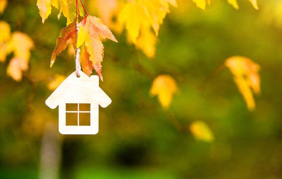 The symbol of the house hangs against the yellow autumn leaves
