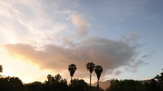beautiful sunset clouds and silhouette of palm trees