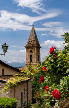 Charming Bell Tower Surrounded by Roses in a Quaint Village