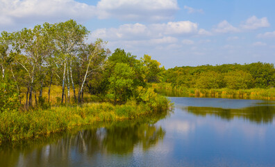 calm river with forest on the coast under a  blue cloudy sky © Yuriy Kulik