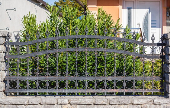 Wrought Iron Fence. Metal fence
