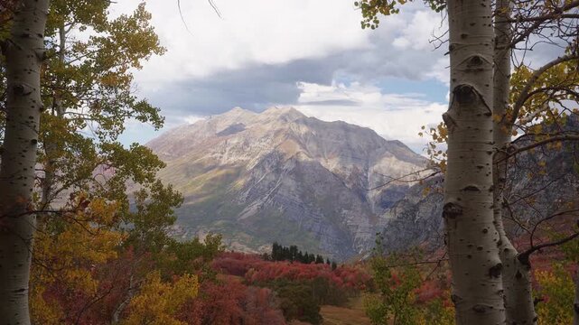 Wide landscape of Mount Timpanogos and the Wasatch Mountains from Kyhv Peak near Provo, Utah, on a sunny fall day, on a hike to buffalo peak surrounded by colorful vibrant autumn colored trees in Octo