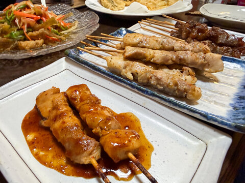 タレ焼きと塩焼きを盛り合わせたジューシーな炭火焼き鳥