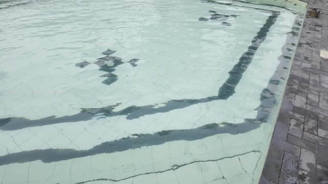 Swimming pool water with little waves
