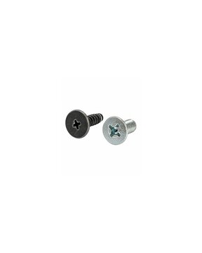 Two Metal Screws with Phillips Heads