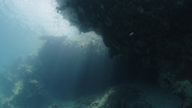 Underwater seascape with caverns of intricate shape on one of the islands of the MIsool Archipalago, Raja Ampat, West Papua, Indonesia