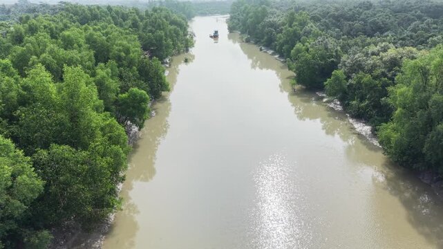 Aerial View of Sunlit Waterway Through Sundarbans Mangrove Forest, Bangladesh