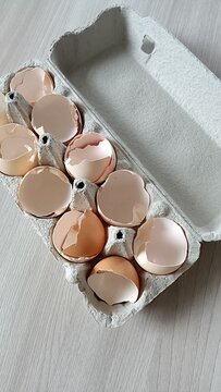 Empty broken eggshell halves in cardboard egg carton container on table top, baking cooking kitchen waste vertical view.