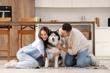 Pet ownership and companionship, happy couple hugging their husky dog at home in a modern kitchen interior for family lifestyle and animal care © Pixel-Shot