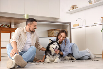 Pet ownership and domestic happiness, happy couple sitting on kitchen floor with their husky dog at home © Pixel-Shot