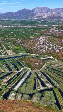 Aerial view of mandarin orange groves in Neretva river valley in Croatia