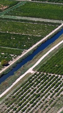 Aerial view of mandarin orange groves and a river channel in Croatia