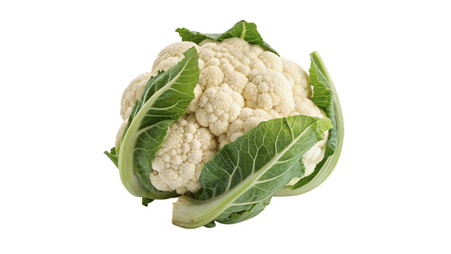 Whole fresh organic white cauliflower head raw healthy vegetable grocery isolated on transparent background