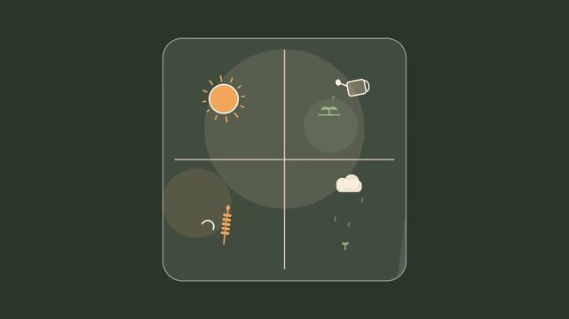 Minimalist four quadrant weather and gardening infographic animation with sun, rain, and plant growth icons on dark green background