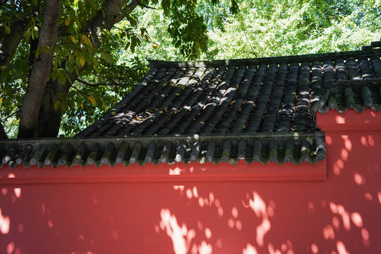 Red Wall With Shadow Of Bamboo Leaves In Chinese Garden