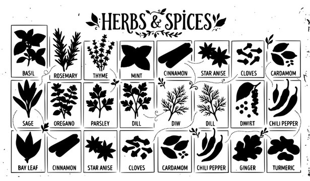 A hand-drawn vector collection of 20 different culinary herbs and spices arranged as separate isolated elements in a balanced grid on a solid pure white background. Include basil leaves, rosemary, thy