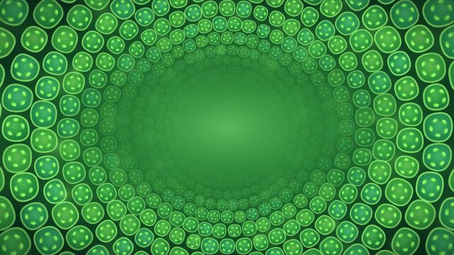 Tissue System of Plant Anatomy. Micro zoom into vibrant green plant stem cells seamless loop