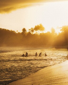 Mirissa, Southern Province, Sri Lanka - 19 August 2026: View of people swimming in the ocean during golden hour on a tropical beach with palm trees in the background.