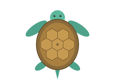 Cute Sea Turtle Top View Flat Vector Illustration