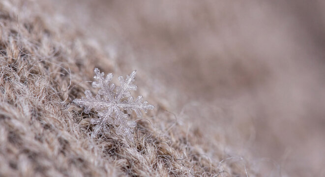 A natural intricate crystal snowflake rests gently on a warm wool knitted sweater fabric