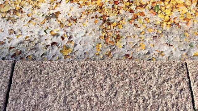 Autumn Leaves Floating in Sea Foam Along a Stone Quay