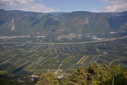 The Etschtal (Adige Valley) between Merano and Bolzano, covered by extensive areas of organic apple orchards&mdash;the region's flagship product.