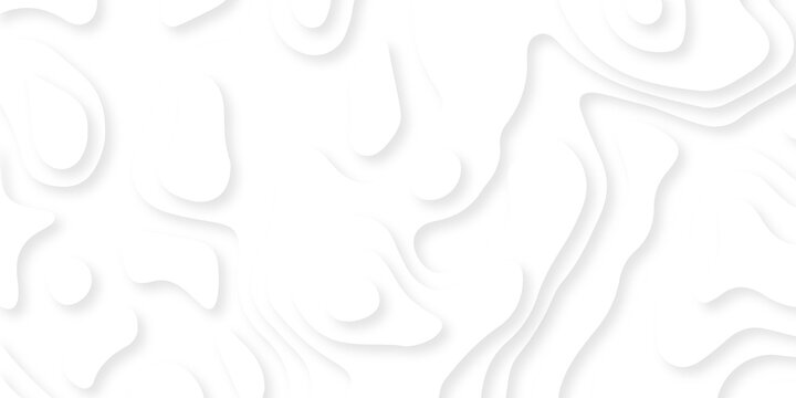 Abstract background wavy line 3d paper cut white background. Abstract pattern with lines. Abstract sea map geographic contour map and topographic contours map background.