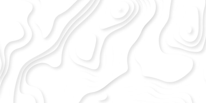 Abstract background wavy line 3d paper cut white background. Abstract pattern with lines. Abstract sea map geographic contour map and topographic contours map background.