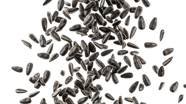Black sunflower seeds falling in motion on white background, scattered organic sunflower seeds, flying healthy snack ingredients