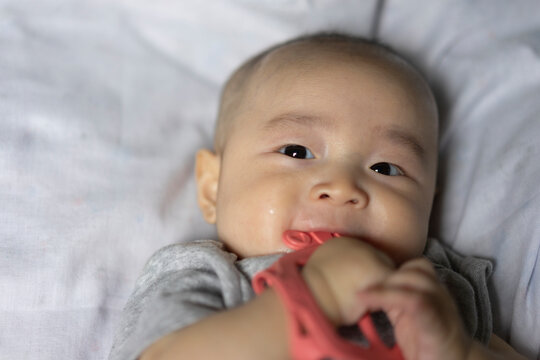 Infant teething and baby dental healthcare concept, adorable Asian baby boy in grey onesie biting pink silicone teether ring with bright eyes, representing pediatric milestones, and soothing.