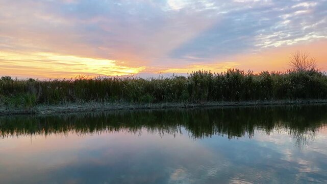 Beautiful panning video movement of a mirror sunset reflection on a smooth water surface of a calm river with green reeds on the shore in windless weather outdoors. Cinematic wild nature landscape. 